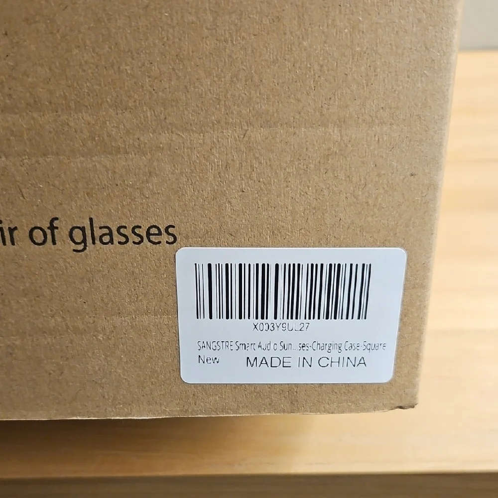 Sangstre Black Audio Smart Glasses with Gray Case